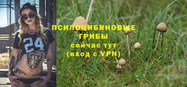 альфа пвп Новокубанск
