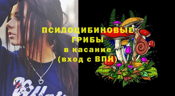 ALPHA PVP Нязепетровск