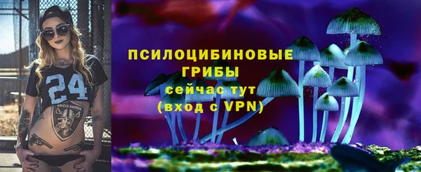ALPHA PVP Нязепетровск