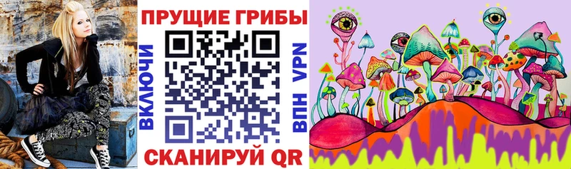 Галлюциногенные грибы прущие грибы  Межгорье 